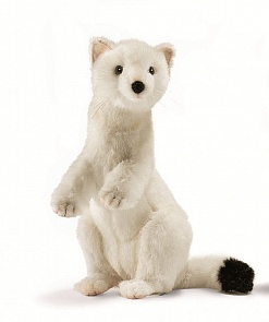 Мягкая игрушка - Горностай зимний окрас, 30 см. (Hansa, 4860)